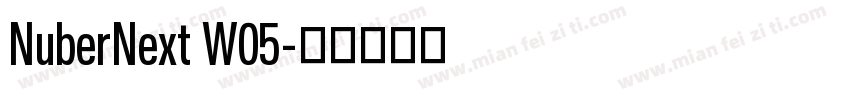 NuberNext W05字体转换